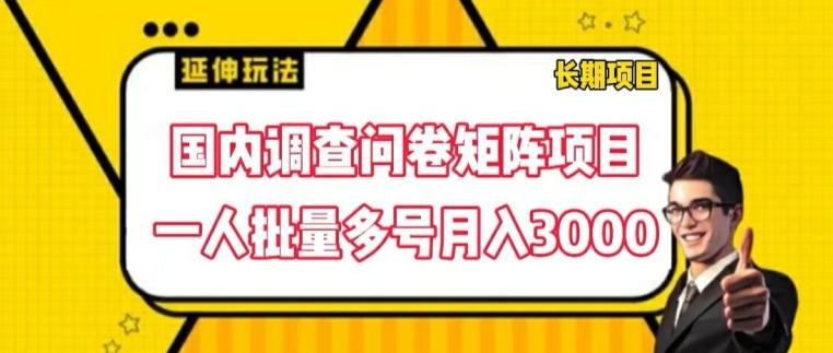 国内调查问卷矩阵项目，一人批量多号月入3000【揭秘】-南友云赚