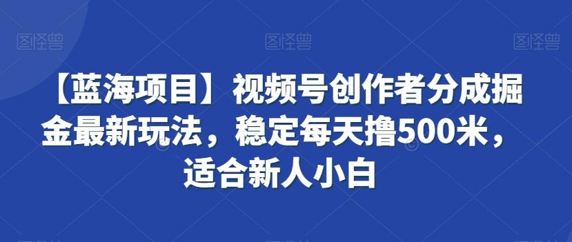 【蓝海项目】视频号创作者分成掘金最新玩法，稳定每天撸500米，适合新人小白【揭秘】-南友云赚