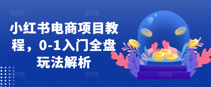 小红书电商项目教程，0-1入门全盘玩法解析-南友云赚