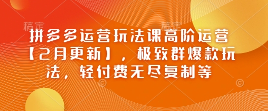 拼多多运营玩法课高阶运营【2月更新】，极致群爆款玩法，轻付费无尽复制等-南友云赚