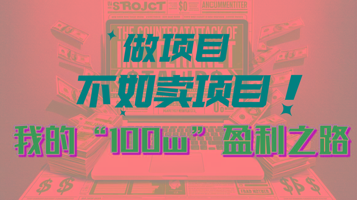为什么做项目不如卖项目？我的100W+盈利之路-南友云赚