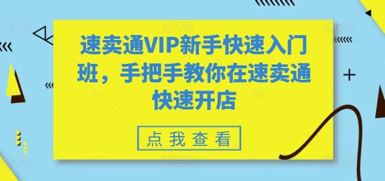 速卖通VIP新手快速入门班，手把手教你在速卖通快速开店-南友云赚