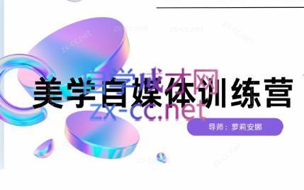 安娜·美学自媒体IP系统课-南友云赚