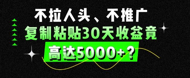 不拉人头、不推广，复制粘贴30天收益竟高达5000+？-南友云赚