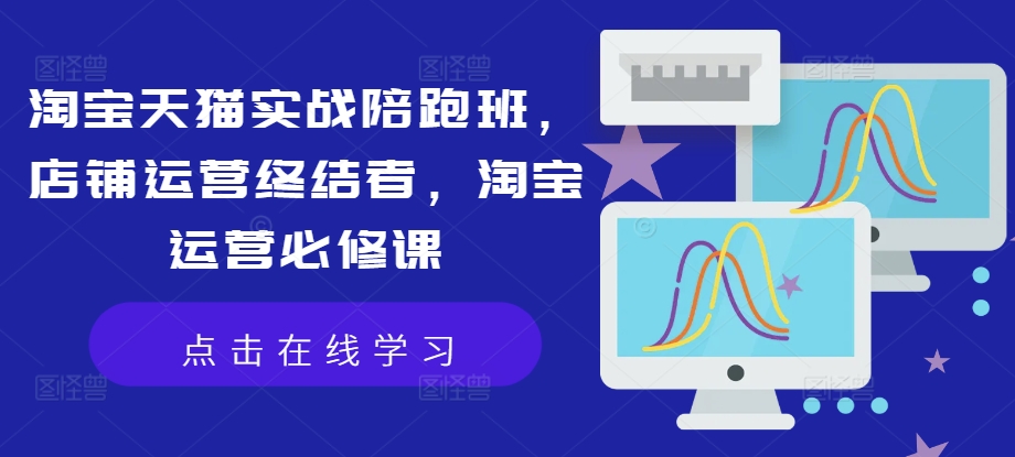 淘宝天猫实战陪跑班，店铺运营终结者，淘宝运营必修课-南友云赚