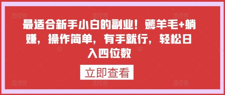 最适合新手小白的副业！薅羊毛+躺赚，操作简单，有手就行，轻松日入四位数【揭秘】-南友云赚