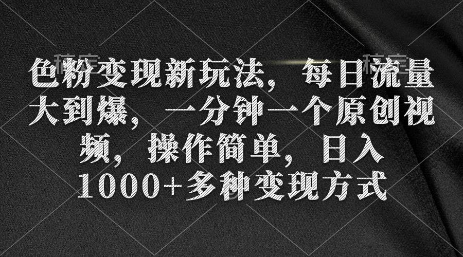 (9282期)色粉变现新玩法，每日流量大到爆，一分钟一个原创视频，操作简单，日入1…-南友云赚