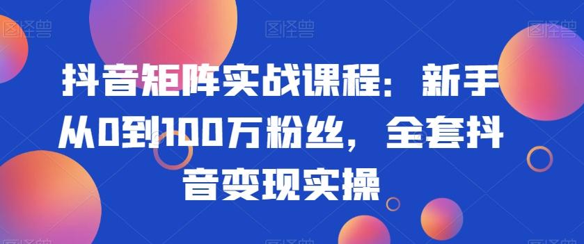 抖音矩阵实战课程：新手从0到100万粉丝，全套抖音变现实操-南友云赚