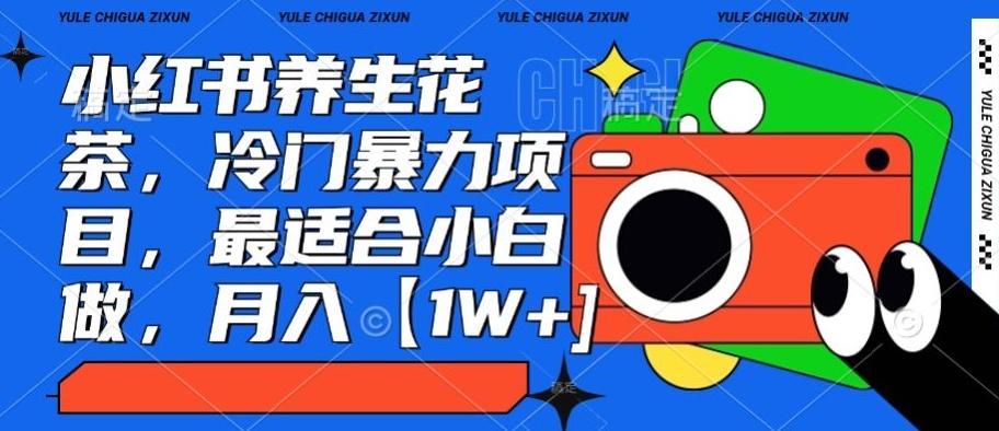 小红书养生花茶，冷门暴力项目，最适合小白做，月入【1W+】-南友云赚