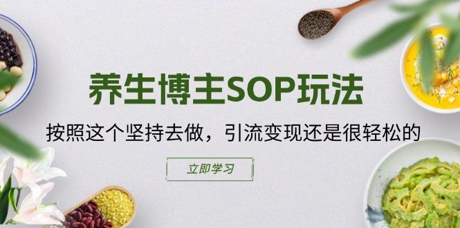 养生博主SOP玩法，按照这个坚持去做，引流变现还是很轻松的-南友云赚