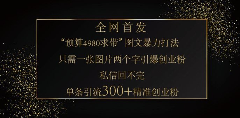 小红书神奇图片引流法，只需一张图，就能单条笔记凭借此方法，轻松引流 300 + 精准创业粉-南友云赚