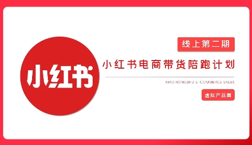 2025小红书虚拟电商实战课-南友云赚
