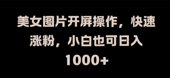 美女图片开屏操作，快速涨粉，小白也可日入1k【揭秘】-南友云赚