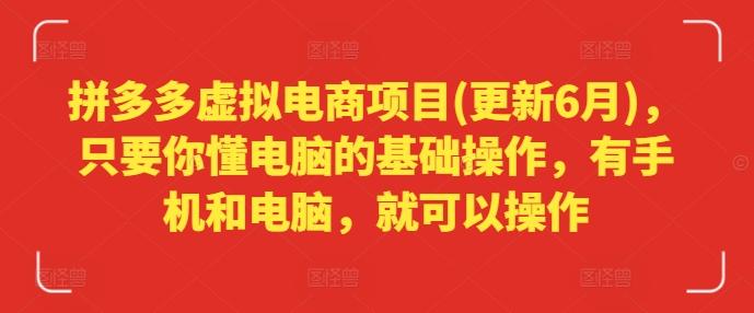 拼多多虚拟电商项目(更新6月)，只要你懂电脑的基础操作，有手机和电脑，就可以操作-南友云赚