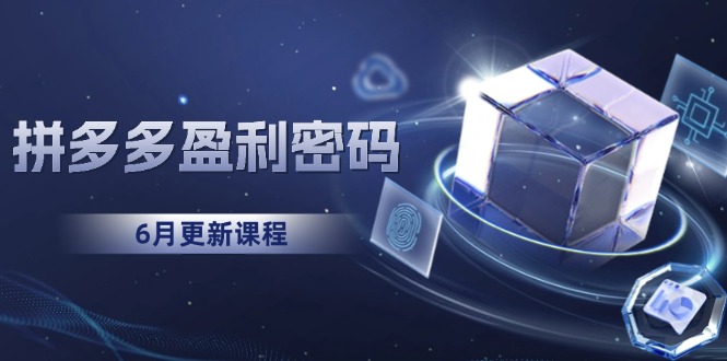 拼多多盈利密码：从烧钱推广到印钞模型，底层逻辑重构指南(6月更新-南友云赚