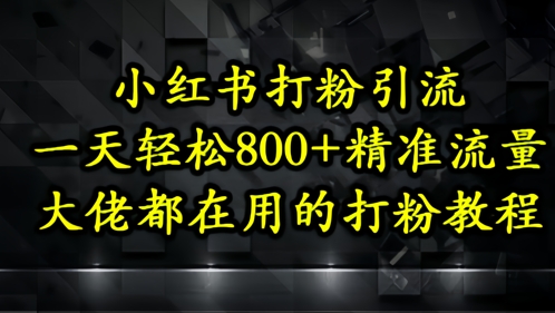 小红书打粉引流，一天轻松500+精准流量，大佬都在用的打粉教程-南友云赚