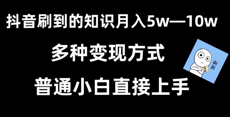 抖音刷到的知识，每天只需2小时，日入2000+，暴力变现，普通小白直接上手【揭秘】-南友云赚