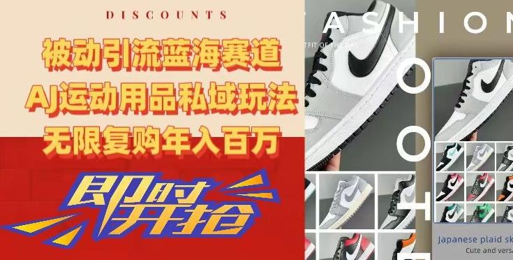 被动引流蓝海赛道，AJ运动用品私域玩法，无限复购年入百万【揭秘】-南友云赚