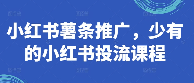 小红书薯条推广，少有的小红书投流课程-南友云赚