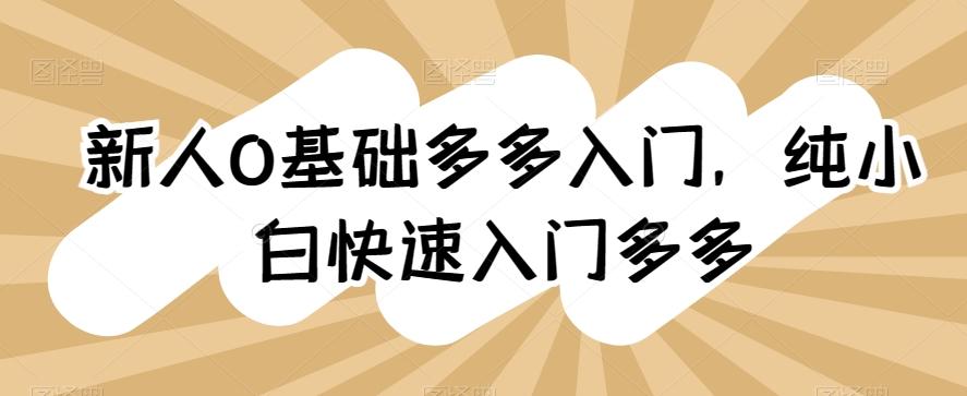 新人0基础多多入门，​纯小白快速入门多多-南友云赚