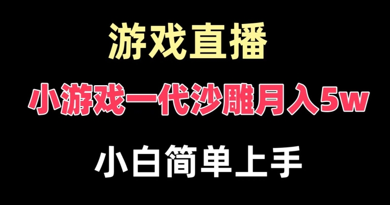 玩小游戏一代沙雕月入5w，爆裂变现，快速拿结果，高级保姆式教学【揭秘】-南友云赚