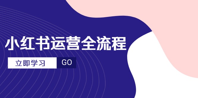 小红书运营全流程，爆款选题文案，视频制作技巧，进阶达人宝典-南友云赚