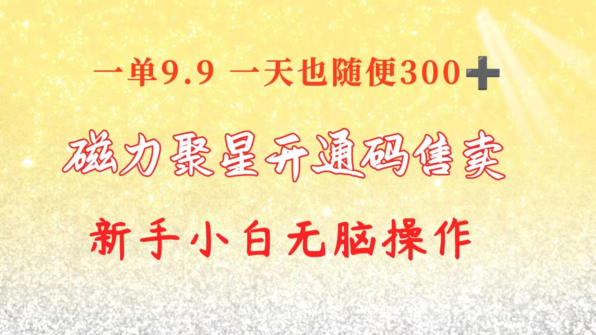 快手磁力聚星码信息差 售卖  一单卖9.9  一天也轻松300+ 新手小白无脑操作-南友云赚