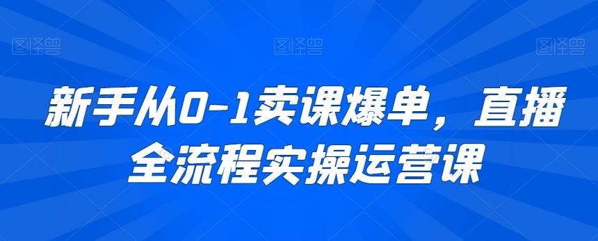 新手从0-1卖课爆单，直播全流程实操运营课-南友云赚