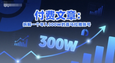 付费文章：拆解一个年入300W的喜马拉雅账号-南友云赚