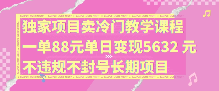 独家项目卖冷门教学课程一单88元单日变现5632元违规不封号长期项目【揭秘】-南友云赚