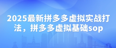 2025最新拼多多虚拟实战打法，拼多多虚拟基础sop-南友云赚