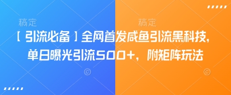 【引流必备】全网首发咸鱼引流黑科技，单日曝光引流500+，附矩阵玩法【揭秘】-南友云赚