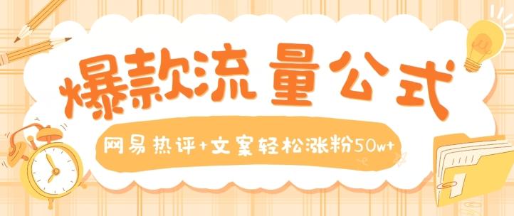 爆款流量公式，网易热评+文案轻松涨粉50w+【揭秘】-南友云赚