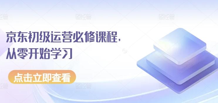 京东初级运营必修课程，从零开始学习-南友云赚