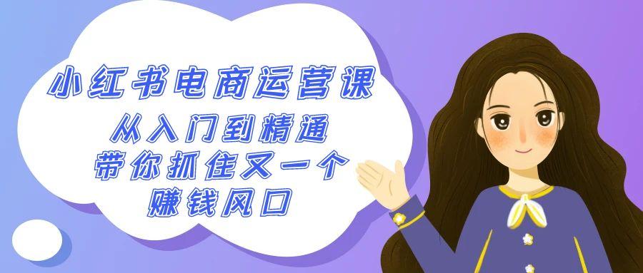 2024小红书电商运营课，从入门到精通，带你抓住又一个赚钱风口(50节课)-南友云赚