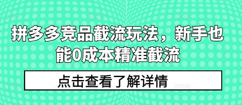 拼多多竞品截流玩法，新手也能0成本精准截流-南友云赚