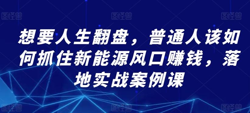 想要人生翻盘，普通人该如何抓住新能源风口赚钱，落地实战案例课-南友云赚