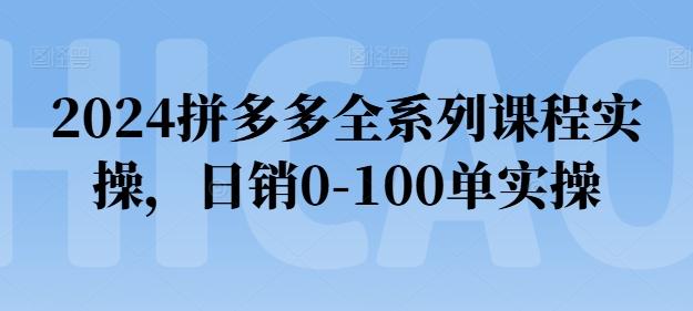 2024拼多多全系列课程实操，日销0-100单实操【必看】-南友云赚