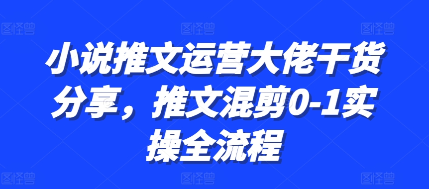 小说推文运营大佬干货分享，推文混剪0-1实操全流程-南友云赚