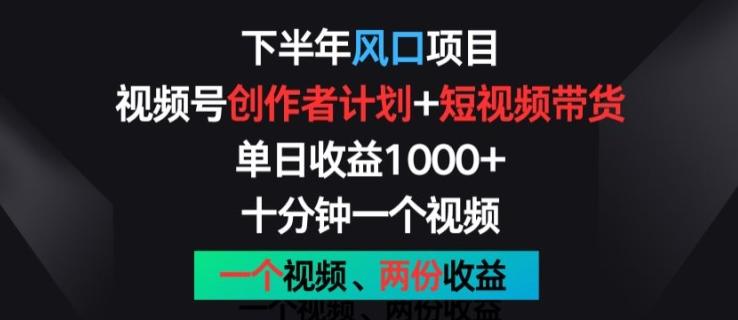 下半年风口项目，视频号创作者计划+视频带货，一个视频两份收益，十分钟一个视频【揭秘】-南友云赚