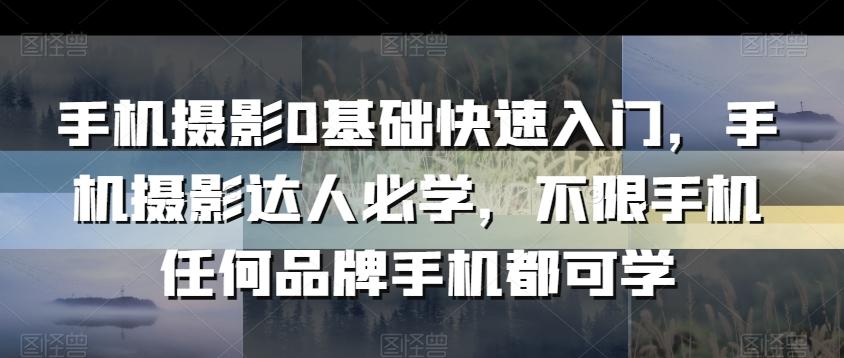 手机摄影0基础快速入门，手机摄影达人必学，不限手机任何品牌手机都可学-南友云赚
