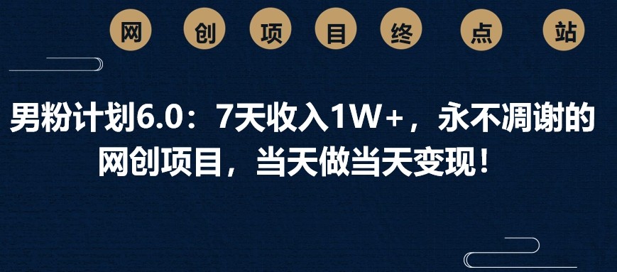 男粉计划6.0：7天收入1W+，永不凋谢的网创项目，当天做当天变现！-南友云赚