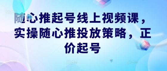 随心推起号线上视频课，实操随心推投放策略，正价起号-南友云赚