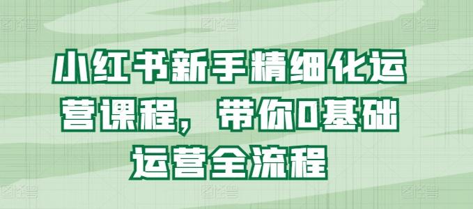 小红书新手精细化运营课程，带你0基础运营全流程-南友云赚