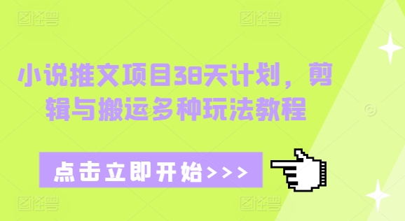 小说推文项目38天计划，剪辑与搬运多种玩法教程-南友云赚