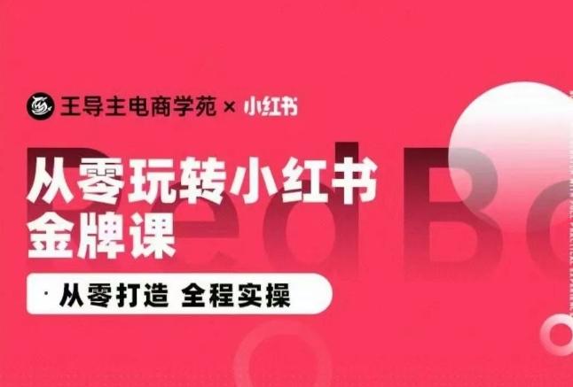 王导主·小红书电商运营实操课，​从零打造  全程实操-南友云赚
