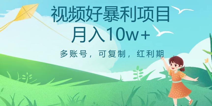 外边收费699项目，视频号暴利项目，多账号可复制，红利期-南友云赚