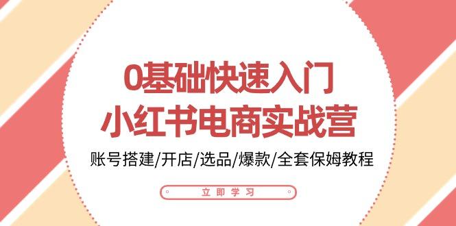 0基础快速入门-小红书电商实战营：账号搭建/开店/选品/爆款/全套保姆教程-南友云赚