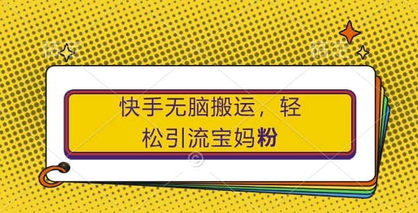 快手无脑搬运，轻松引流宝妈粉，纯小白轻松上手【揭秘】-南友云赚