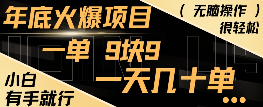 年底火爆项目，一单9.9，一天几十单，只需一部手机，傻瓜式操作，小白有手就行-南友云赚